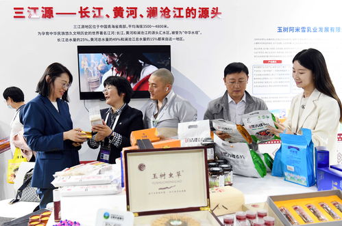 科技引領(lǐng) 創(chuàng)享未來(lái) 第二十七屆中國(guó)北京國(guó)際科技產(chǎn)業(yè)博覽會(huì)掠影